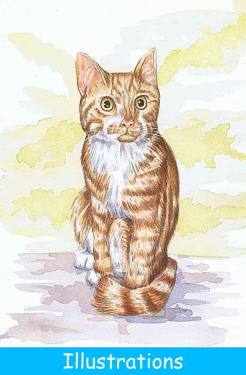 View artist Ron M Smith's illustrations portfolio